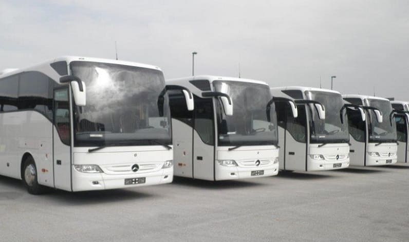 East Flanders: Bus company in Lochristi in Lochristi and Flanders